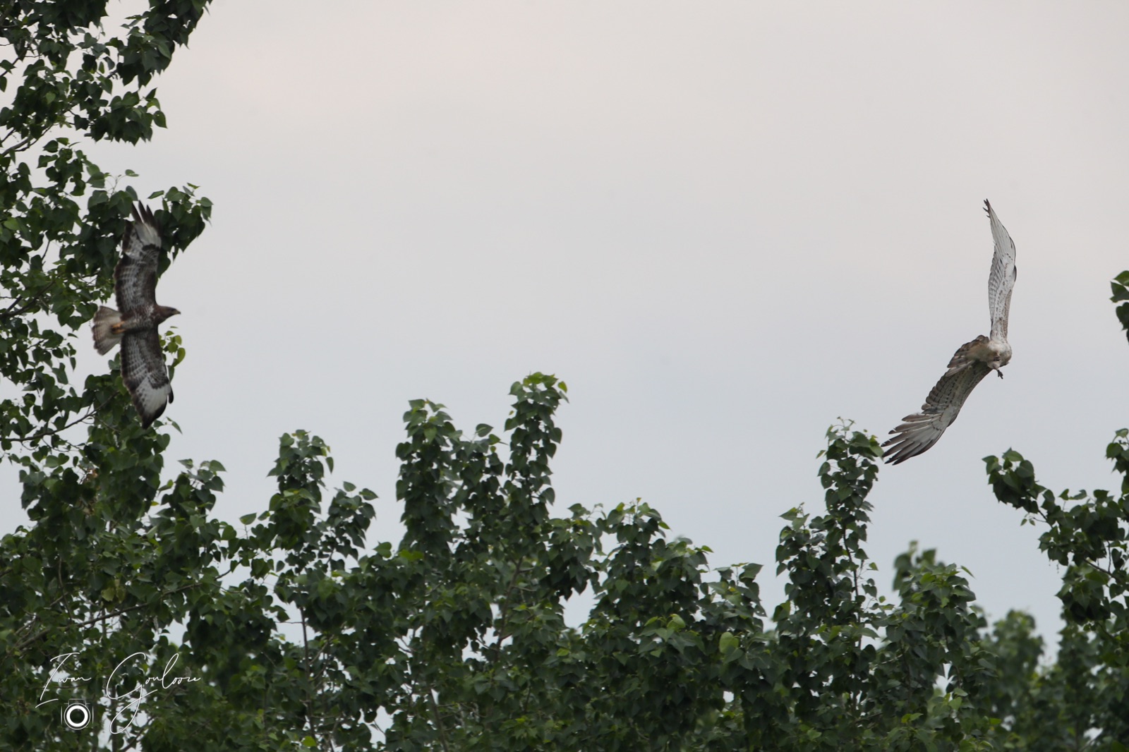 1DX46047 05 juni 2022 0942 39